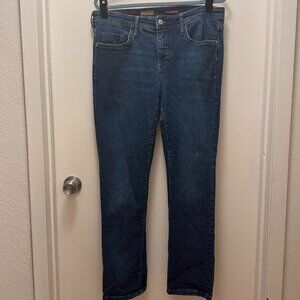 Anthropologie Pilcro Classic Wash Slim Boyfriend Sz 31